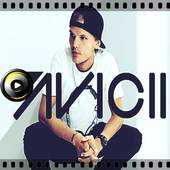 Avicii 1.1