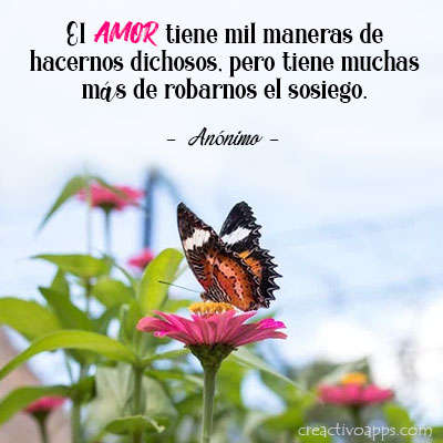 Frases sabias - Frases de vida 21 تصوير الشاشة
