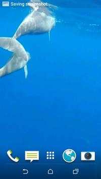 Dolphins Live Wallpaper screenshot 5