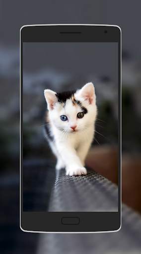 Cute Animal Wallpaper screenshot 4