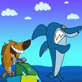 Fight Shark in Blue water