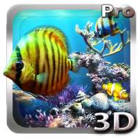 Tropical Ocean 3D LWP