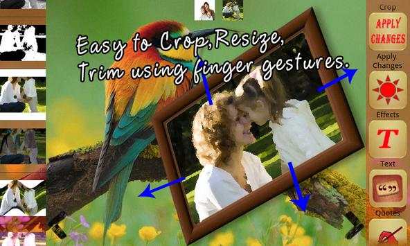 Birds photo frames स्क्रीनशॉट 3
