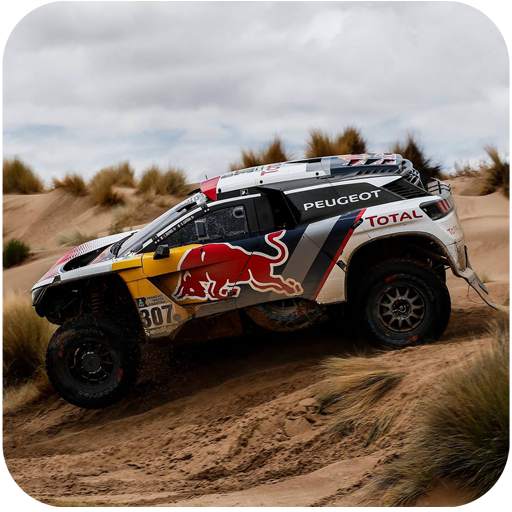 Stunning Rally Fury Wallpaper 2.0