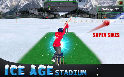 MSD: World Cricket Bash screenshot 7