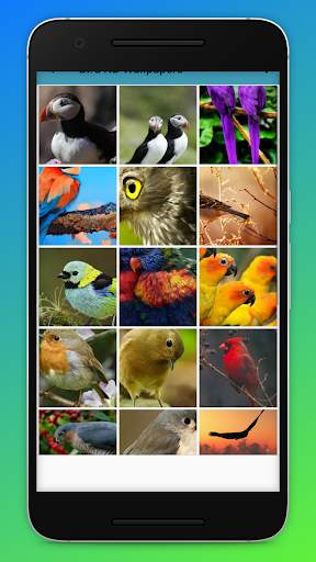 Bird HD Zedge Wallpapers screenshot 2