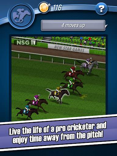 New Star Cricket screenshot 12
