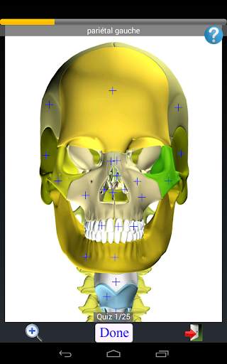 Anatomy Quiz screenshot 21