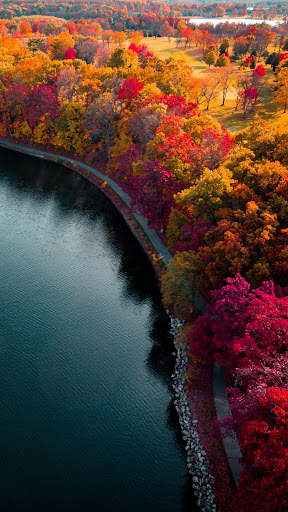 Autumn wallpaper screenshot 6