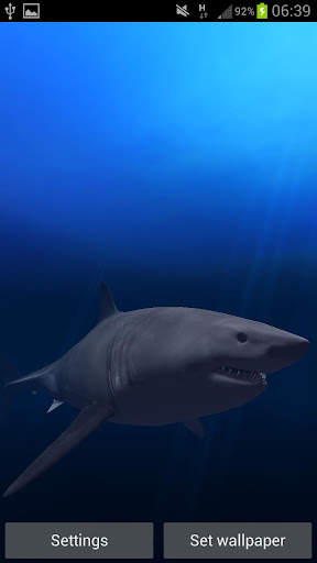 Great White Shark Real 3D screenshot 4