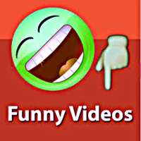 Funny video