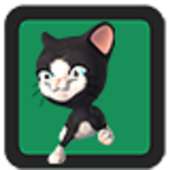 My Cat Dancing