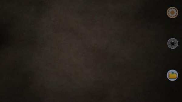 Silent Camera screenshot 1