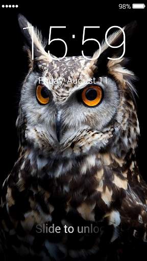Owl Lock Screen & Wallpaper 5 تصوير الشاشة
