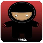 Guide Ninja Gaiden II 1.2