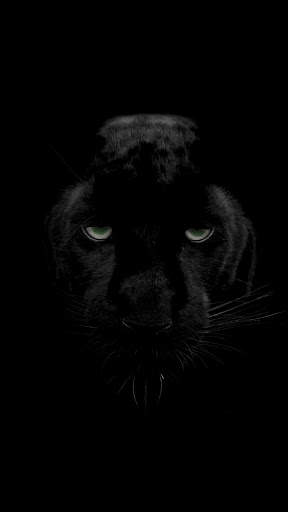 Panther Wallpapers: backgrounds hd screenshot 4