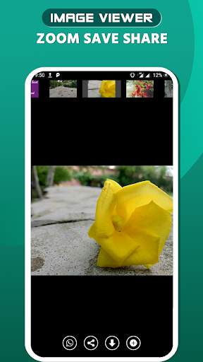Status saver for Whatsapp : video downloader 2020 screenshot 4