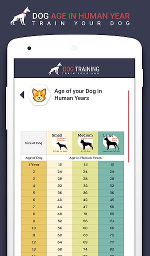 Home Dog Training: Family Pet Dog 8 تصوير الشاشة