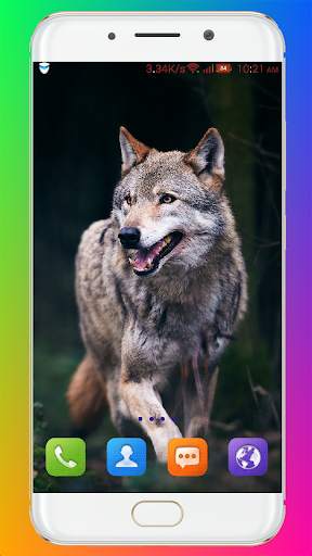 Wolf Wallpaper HD screenshot 10