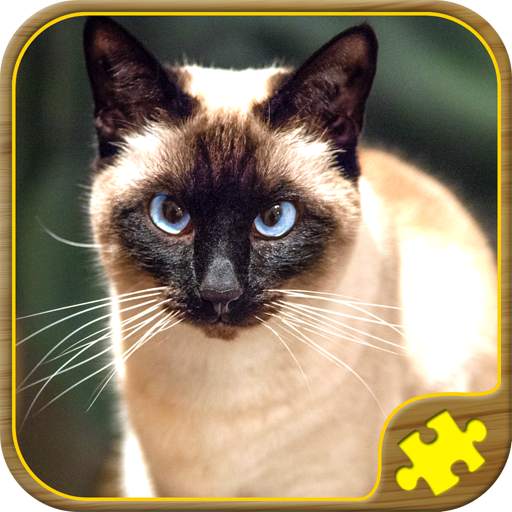Cat Jigsaw Puzzles 57.0.0