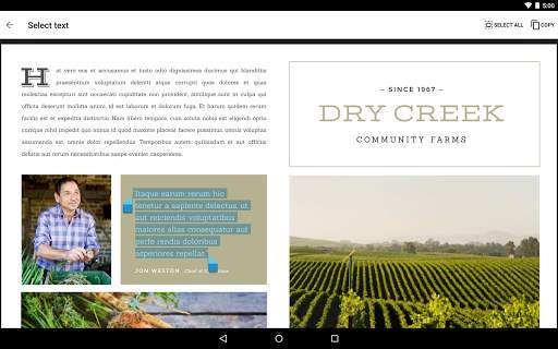 Google PDF Viewer screenshot 6