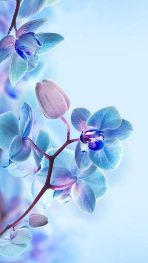 3D Flower Wallpaper screenshot 6