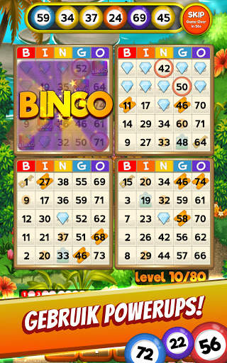 Bingo Quest Zomertuin Avontuur screenshot 4