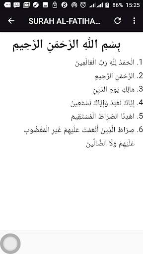 Qur'an Pro (Arabic Text) скриншот 5