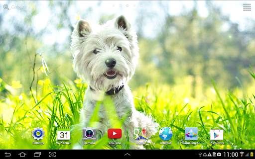 Dogs Wallpaper screenshot 11
