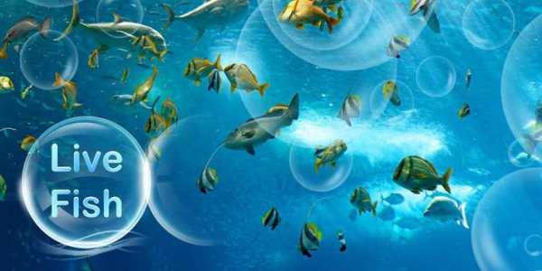 Live Fish Theme screenshot 1