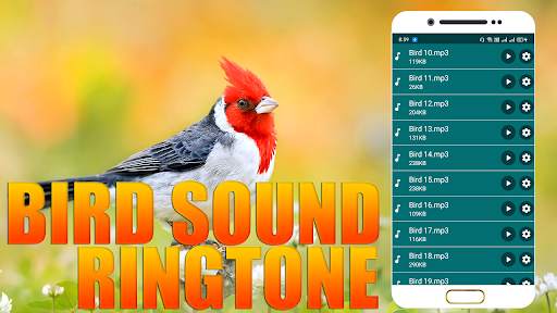 Birds Sound Ringtone screenshot 2
