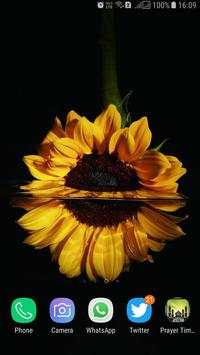 HD Background Flower Wallpaper screenshot 1