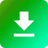 Mini Video Downloader