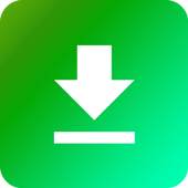 Mini Video Downloader 2.2
