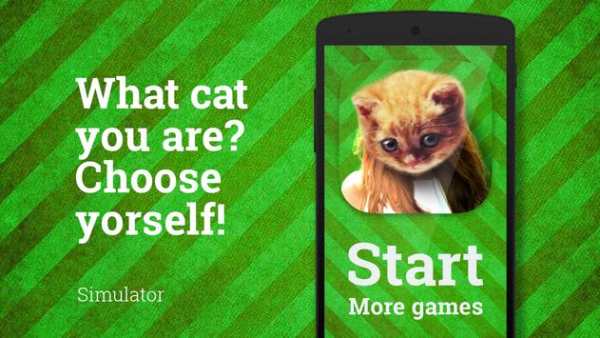 Cat Face Photo screenshot 1