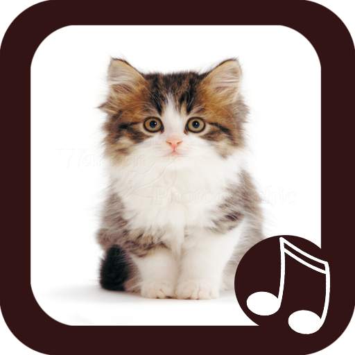 Cat Meow Real Sounds 1.0