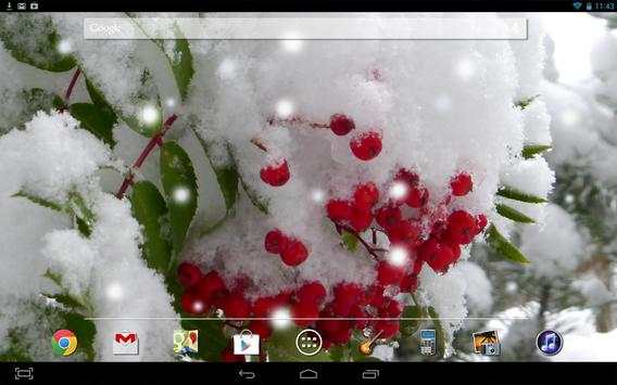 Winter Berry Live Wallpaper screenshot 3