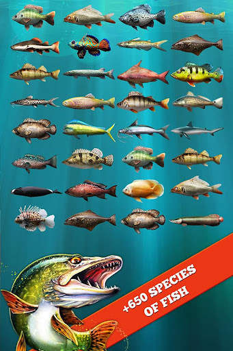 Let's Fish: Fishing Simulator screenshot 2