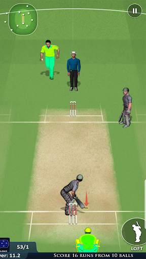 ワールドクリケットT2Oカップゲーム3D screenshot 4