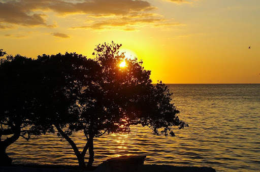 Mexico Wallpaper Travel screenshot 20