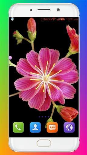 Flower Wallpaper HD screenshot 6