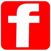 SWF et FLV - Flash Player for Android 1.0.2