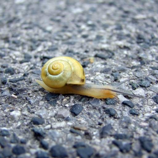 Slow Motion Video Maker screenshot 8