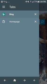 Light Browser screenshot 7