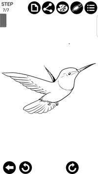 How To Draw Birds screenshot 8