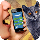 Cat Translator 3D sound icon