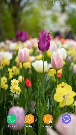 Spring Wallpaper screenshot 16