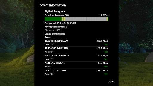 Amnis - Torrent Player screenshot 11