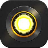 WF Flashlight 19