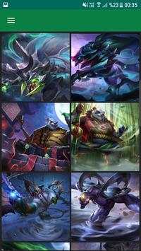 AOV Wallpapers For Arena HD screenshot 2